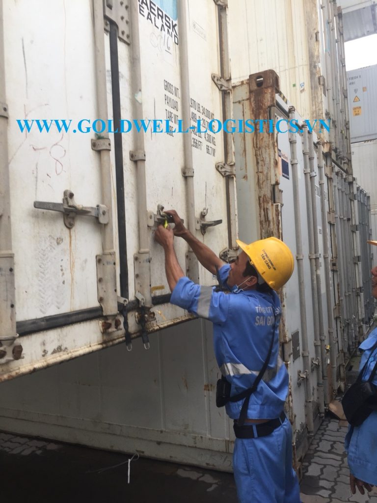 dịch vụ khai thuê hải quan tại tphcm (hcm)