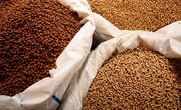 Thức ăn chăn nuôi nhập khẩu