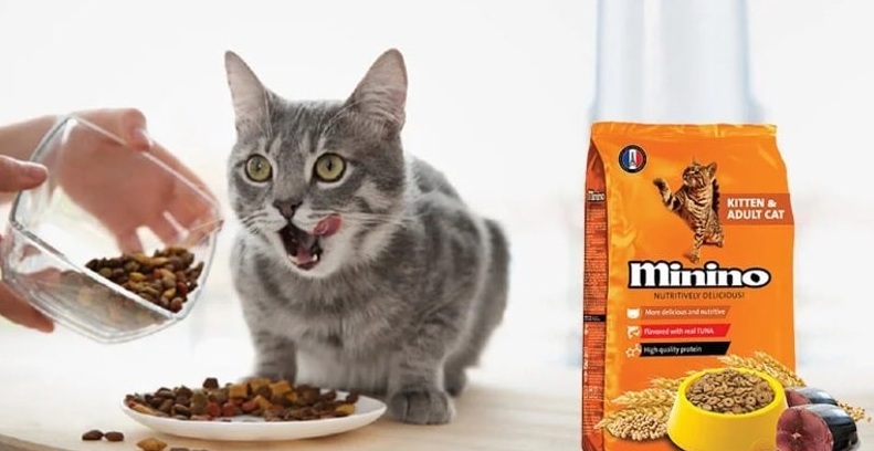 Thủ tục nhập khẩu thức ăn chó mèo